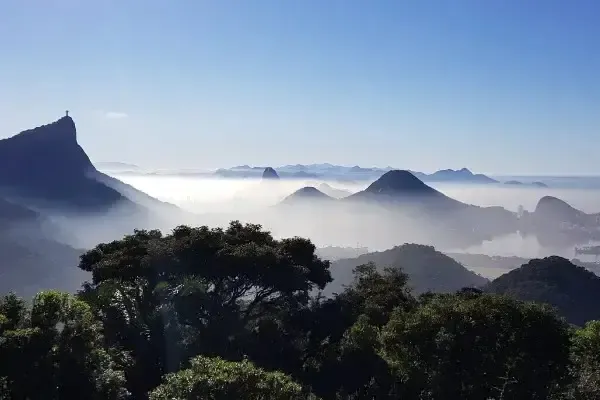 Tijuca Rainforest & Museums: Where Nature Meets Culture - Private 8 hours tour in Rio de Janeiro