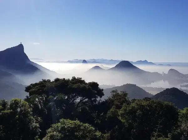 Bosque de Tijuca y Museos: Donde la Naturaleza Encuentra la Cultura - Vista panorámica de Río de Janeiro con Pan de Azúcar