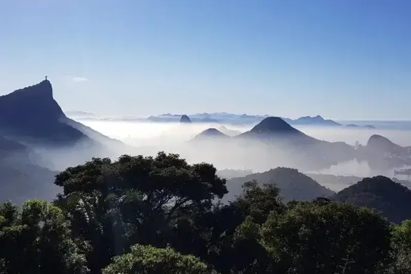 Tijuca Rainforest & Museums: Where Nature Meets Culture - Private 8 hours tour in Rio de Janeiro