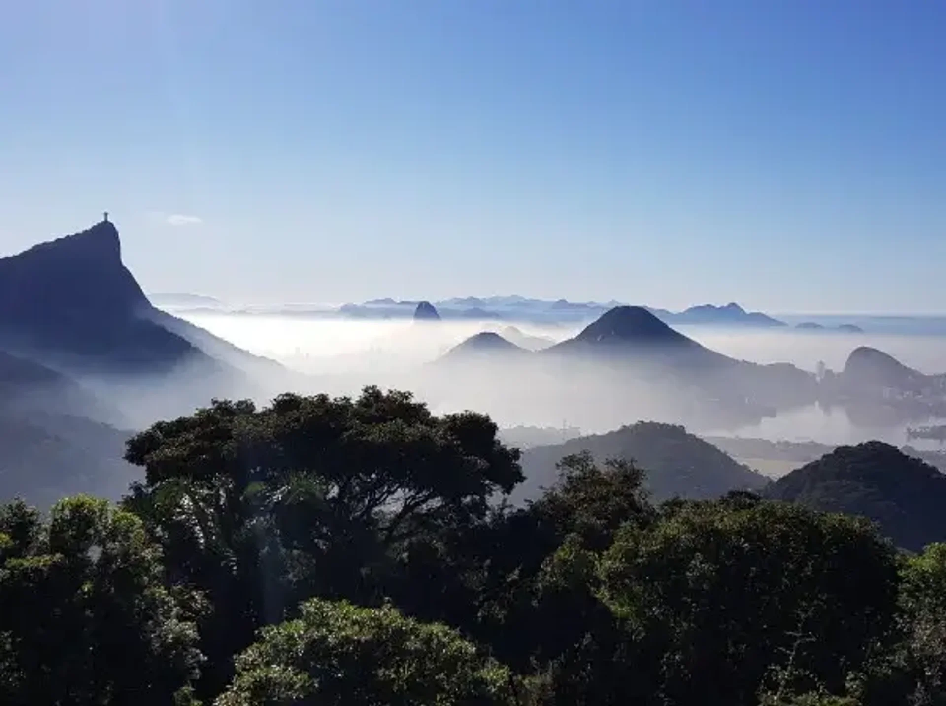 Tijuca Rainforest & Museums: Where Nature Meets Culture - Panoramic view of Rio de Janeiro featuring Sugarloaf Mountain